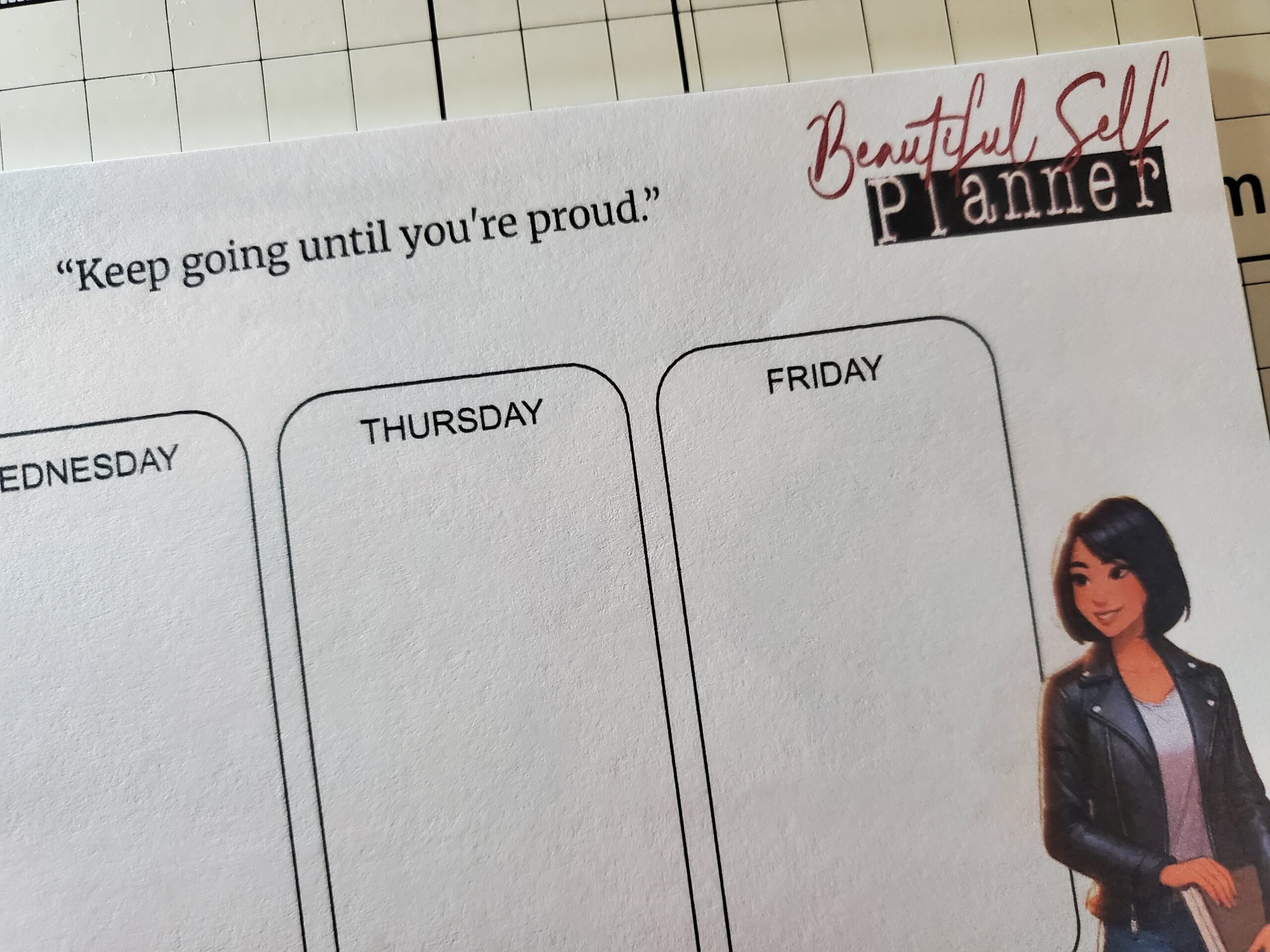 AT-A-Glance Weekly Calendar 501